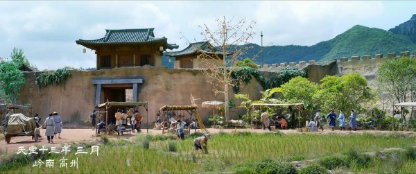 鼎金投资 文心雕 “荔” ： 岭南荔枝的雅品方式